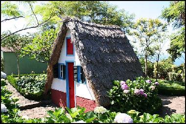 Holiday Apartment in Canio (Madeira) or holiday homes and vacation rentals