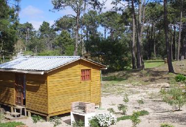 Chalet in La Paloma (Rocha) or holiday homes and vacation rentals