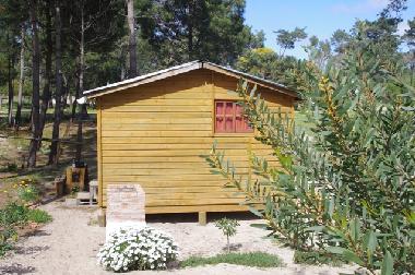 Chalet in La Paloma (Rocha) or holiday homes and vacation rentals
