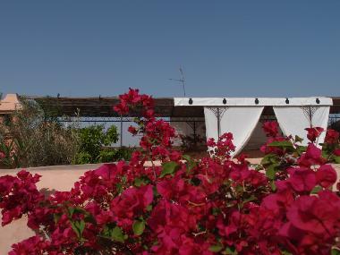 Holiday House in Marrakech (Marrakech) or holiday homes and vacation rentals