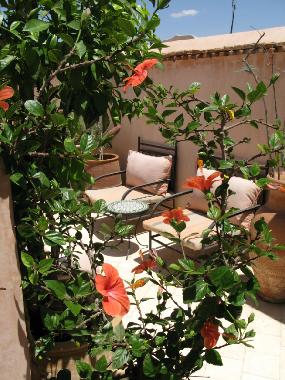 Holiday House in Marrakech (Marrakech) or holiday homes and vacation rentals