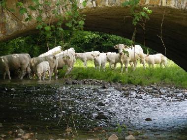 Holiday Apartment in matour (Sa�ne-et-Loire) or holiday homes and vacation rentals