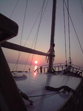 Boat in barcars (Pyrnes-Orientales) or holiday homes and vacation rentals