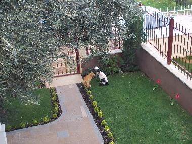 Holiday Apartment in Nea Makri (Attiki) or holiday homes and vacation rentals