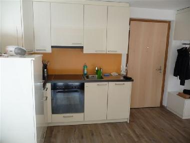 Holiday Apartment in Wiler (L�tschental-L�tschberg) or holiday homes and vacation rentals
