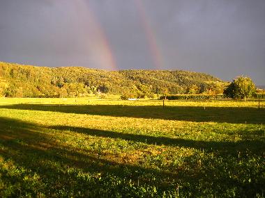 Holiday House in Biberach/Baden (Black Forest) or holiday homes and vacation rentals