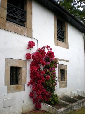 Holiday House in Comillas (Cantabria) or holiday homes and vacation rentals