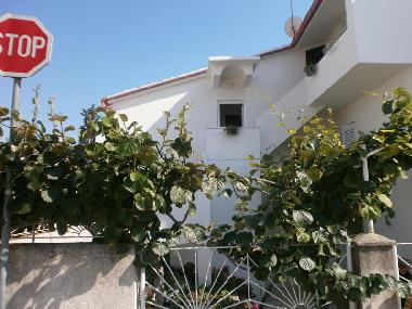 Holiday Apartment in Zadar (Zadarska) or holiday homes and vacation rentals