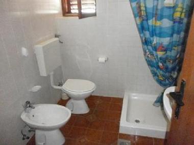 Holiday Apartment in Zadar (Zadarska) or holiday homes and vacation rentals