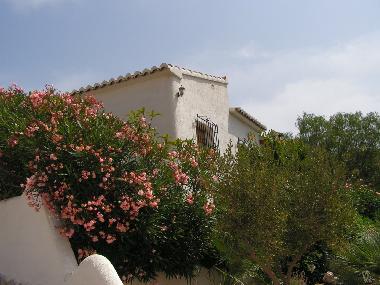 Holiday Apartment in Cumbre del Sol (Alicante / Alacant) or holiday homes and vacation rentals