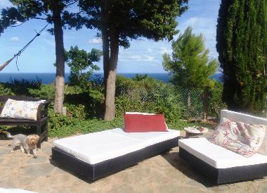 the garden facing the sea