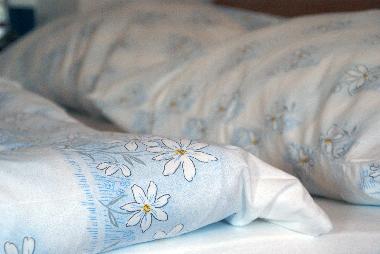 Holiday Apartment in Vienna (Vienna) or holiday homes and vacation rentals