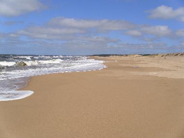 Holiday House in Tio Tom/ Punta Ballena (Maldonado) or holiday homes and vacation rentals