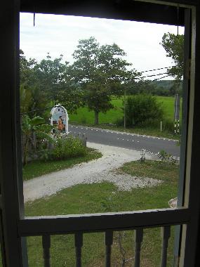 view from the house (rice field)
