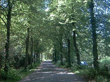 Holiday House in Mariannelud (Smaland) or holiday homes and vacation rentals