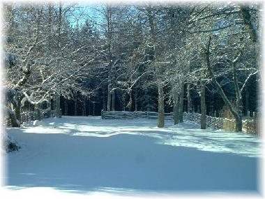 Holiday House in Mariannelud (Smaland) or holiday homes and vacation rentals