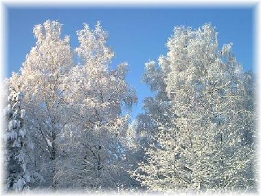 Holiday House in Mariannelud (Smaland) or holiday homes and vacation rentals