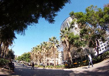 The bars and restaurants of the Rambla del Raval