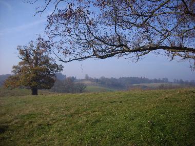 Holiday House in Bansow (Mecklenburgische Seenplatte) or holiday homes and vacation rentals