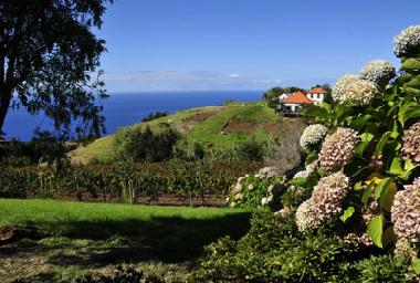 Holiday House in Ponta do Pargo (Madeira) or holiday homes and vacation rentals