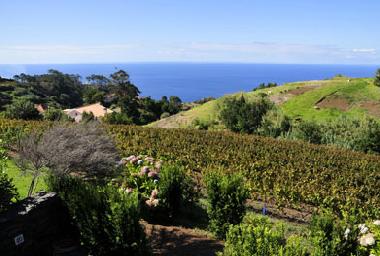 Holiday House in Ponta do Pargo (Madeira) or holiday homes and vacation rentals