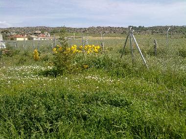 Holiday House in Muopepe (vila) or holiday homes and vacation rentals