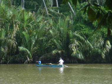 Bed and Breakfast in Weligama-Pelena (Galle) or holiday homes and vacation rentals