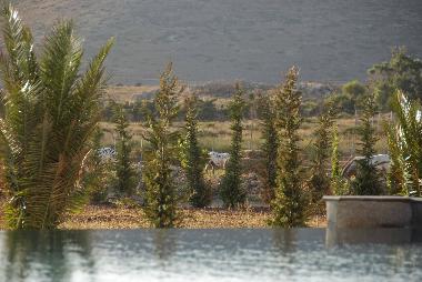 Villa in Chavriata (Kefallinia) or holiday homes and vacation rentals