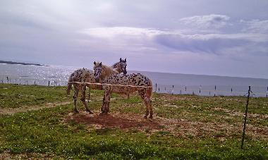 Villa in Chavriata (Kefallinia) or holiday homes and vacation rentals