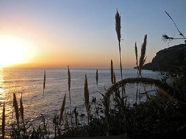 Holiday House in Ribeira Brava (Madeira) or holiday homes and vacation rentals