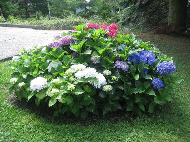 Holiday Apartment in Seesen am Harz (Harz) or holiday homes and vacation rentals