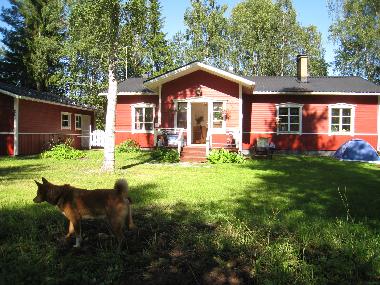 Large private county yard. Safe environment for children. 