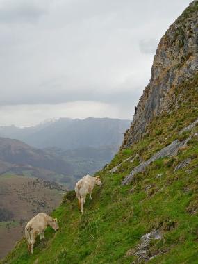 Holiday House in Lourdes Ossun-ez-Angles (Hautes-Pyr�n�es) or holiday homes and vacation rentals