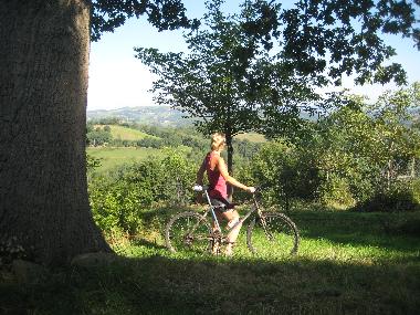 Holiday House in Lourdes Ossun-ez-Angles (Hautes-Pyr�n�es) or holiday homes and vacation rentals