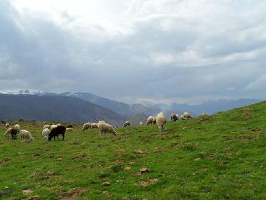 Holiday House in Lourdes Ossun-ez-Angles (Hautes-Pyr�n�es) or holiday homes and vacation rentals