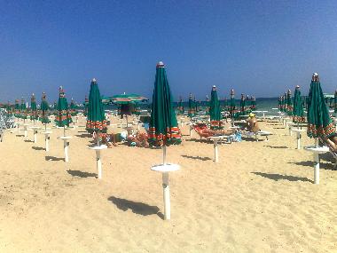 Holiday Apartment in Torre Canne (Brindisi) or holiday homes and vacation rentals