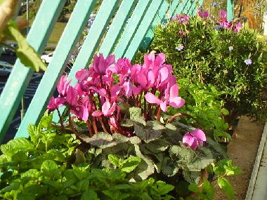 Holiday Apartment in Tel Aviv (Tel Aviv) or holiday homes and vacation rentals