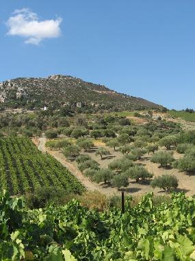 Hotel in Heraklion (Irakleio) or holiday homes and vacation rentals