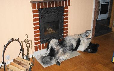 Holiday House in Lnneberga (Smaland) or holiday homes and vacation rentals