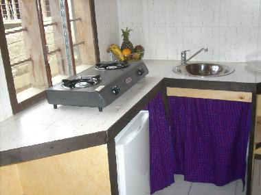 aprtment small kitchen