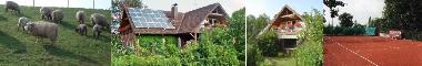 Holiday Apartment in Wapelersiel (Nordsee-Festland / Ostfriesland) or holiday homes and vacation rentals