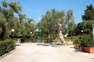 Holiday Apartment in Torre Canne (Brindisi) or holiday homes and vacation rentals