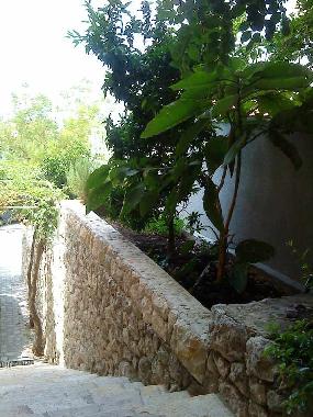 Holiday Apartment in Makarska (Splitsko-Dalmatinska) or holiday homes and vacation rentals