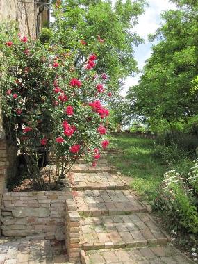 Holiday House in Sassocorvaro (Pesaro e Urbino) or holiday homes and vacation rentals