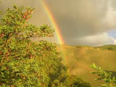 Holiday House in Sassocorvaro (Pesaro e Urbino) or holiday homes and vacation rentals