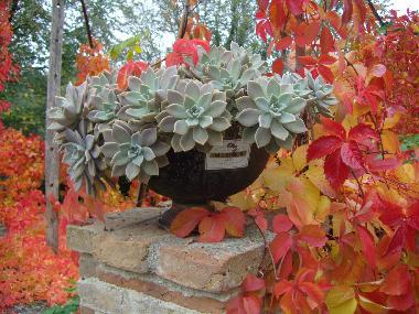 Holiday House in Sassocorvaro (Pesaro e Urbino) or holiday homes and vacation rentals