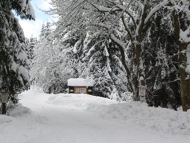 Holiday Apartment in Clausthal-Zellerfeld (Harz) or holiday homes and vacation rentals
