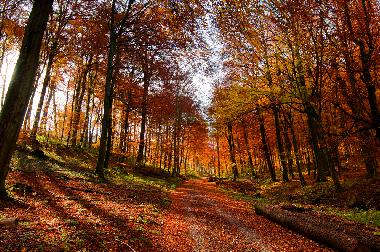 Holiday Apartment in Clausthal-Zellerfeld (Harz) or holiday homes and vacation rentals