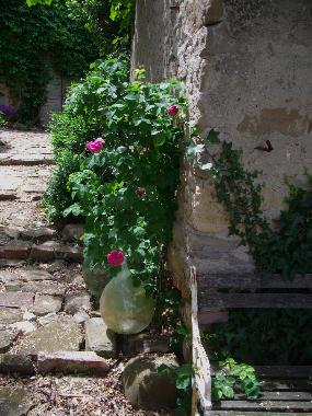 Holiday House in Sassocorvaro (Pesaro e Urbino) or holiday homes and vacation rentals