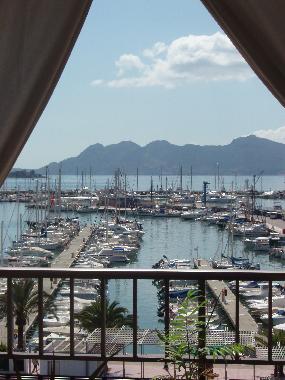 Holiday Apartment in Puerto Pollensa  Mallorca (Mallorca) or holiday homes and vacation rentals